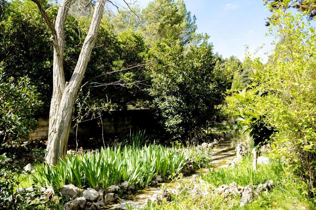 Can Marquesi Villa